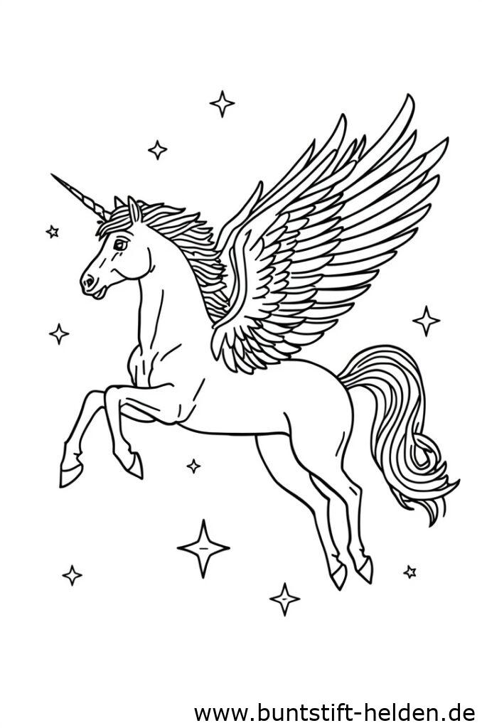 pegasus und sterne 2