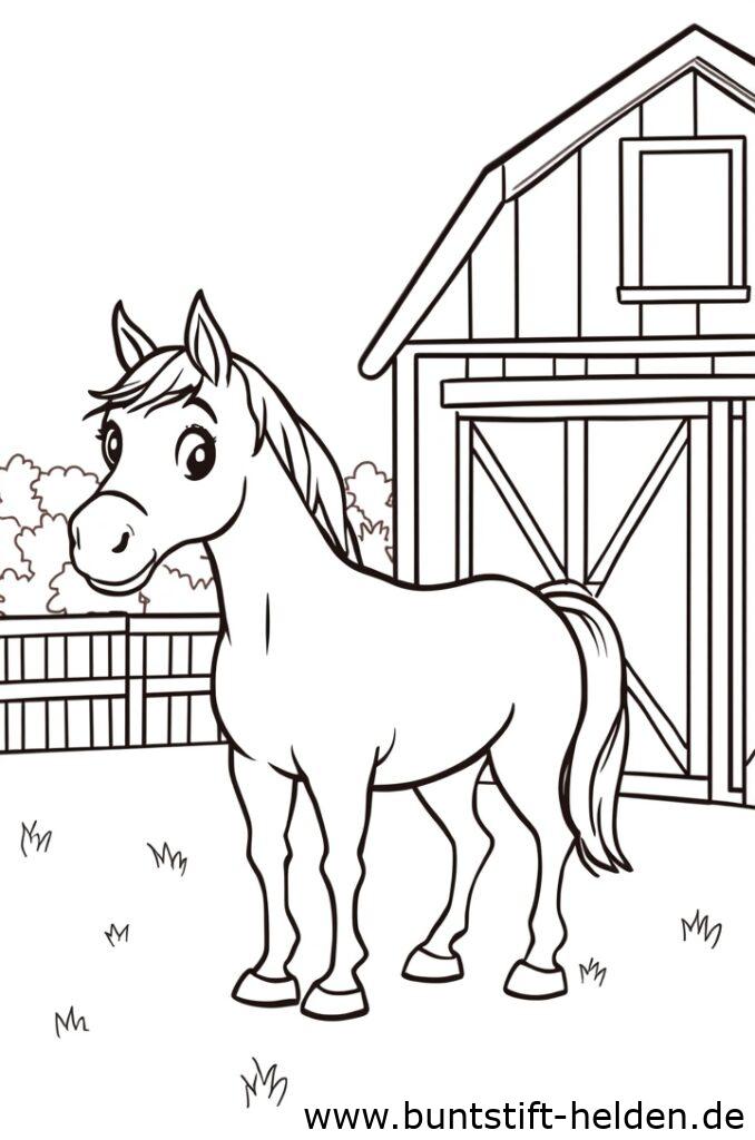 pferd auf bauernhof 1