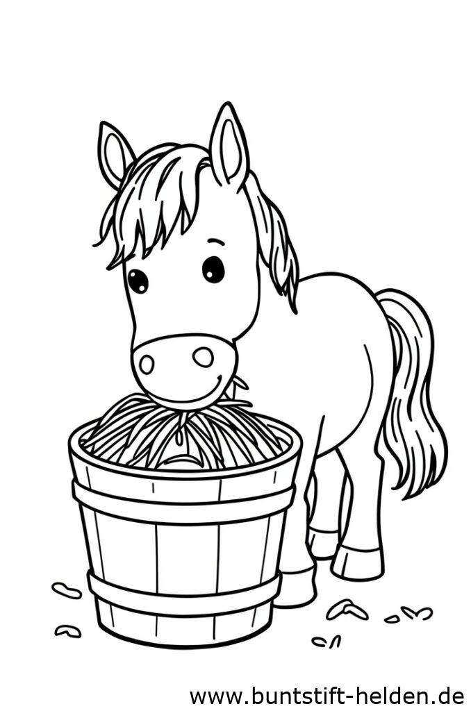 pferd frisst heu 1