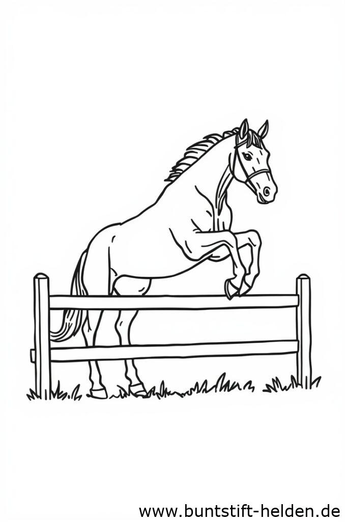pferd springt 2