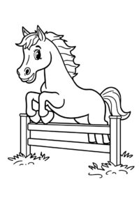 pferd springt ber hindernis 1