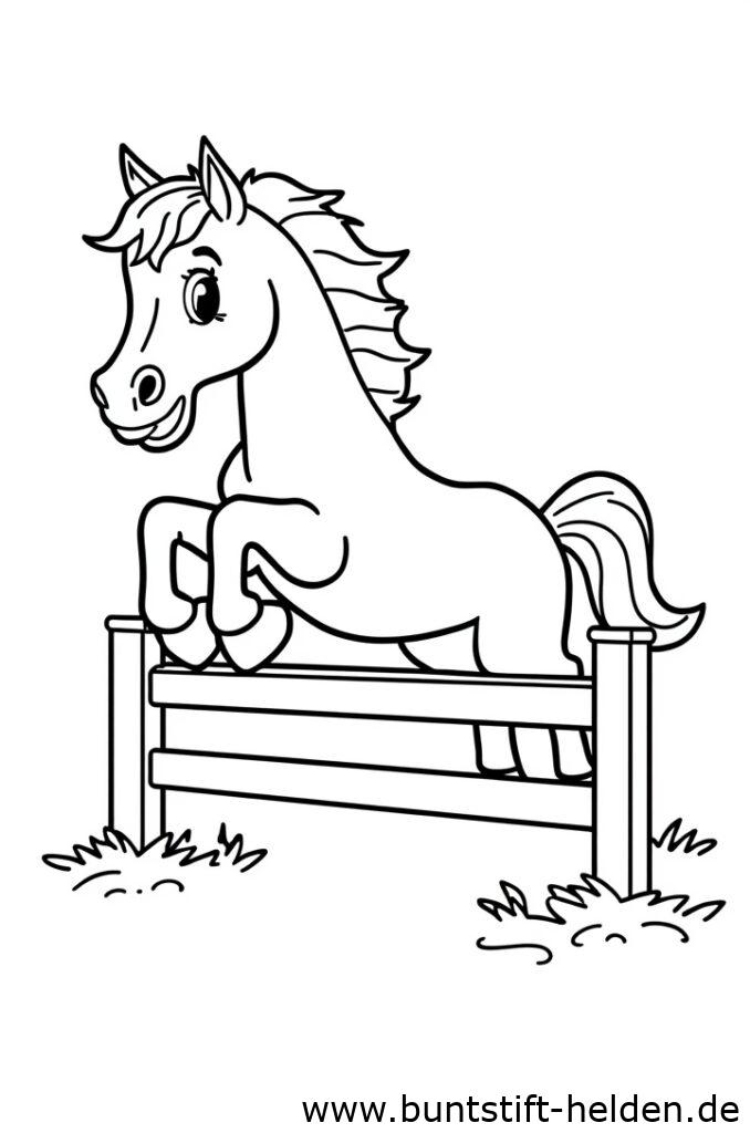 pferd springt ber hindernis 1