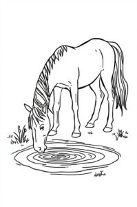 pferd trinkt wasser 2