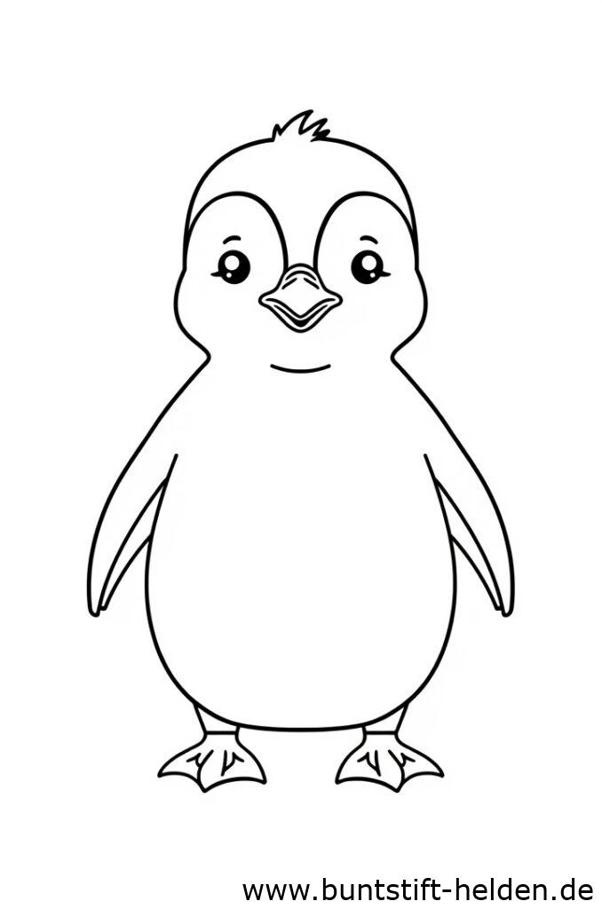 pinguinbaby 1