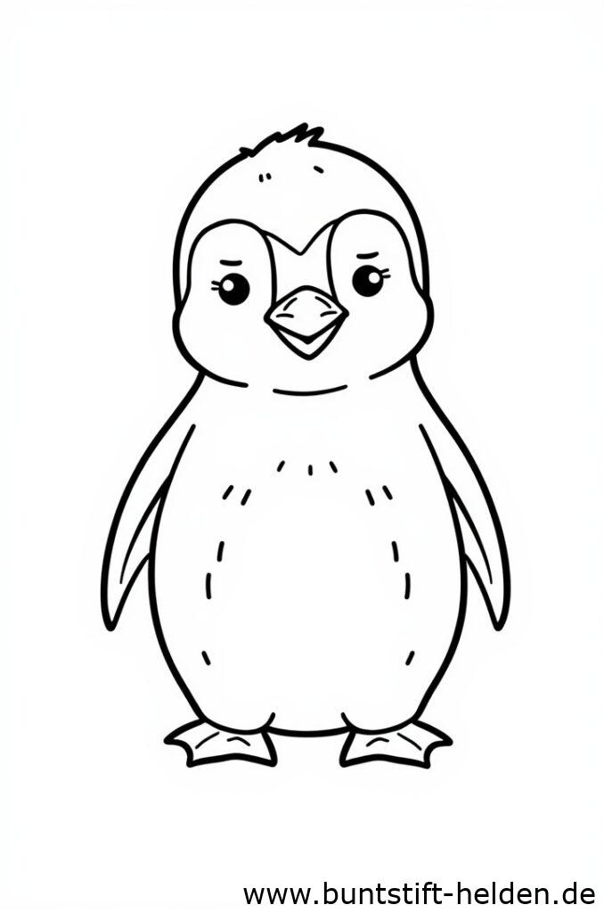pinguinbaby 2