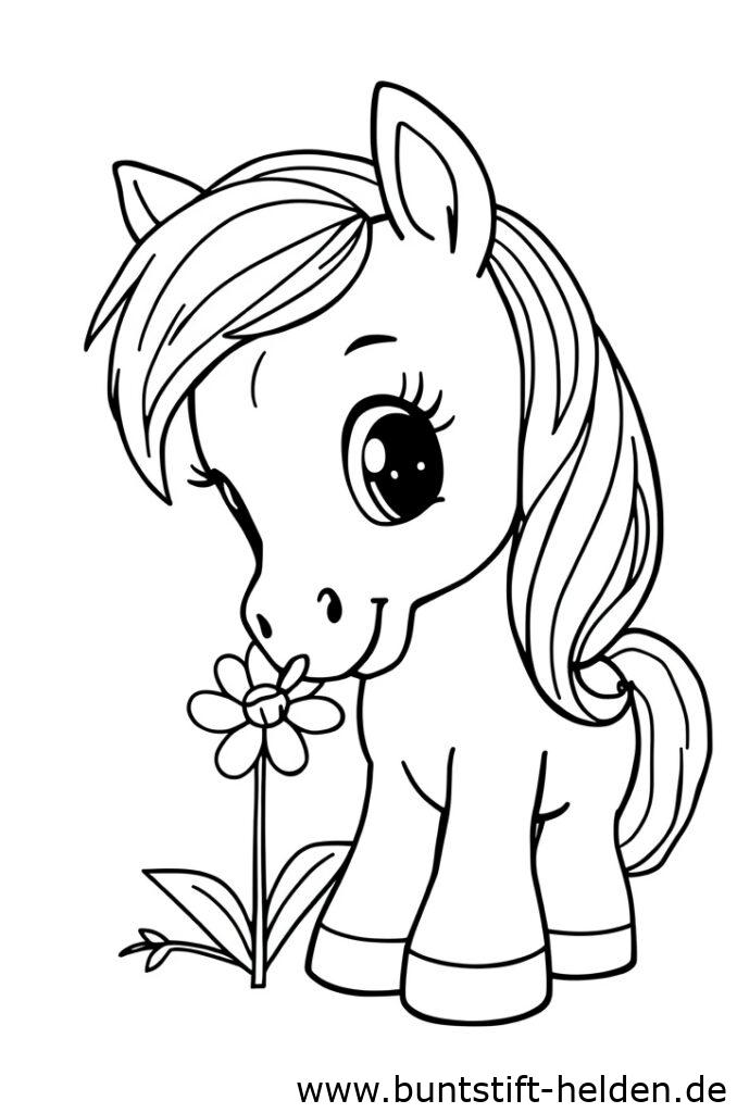 pony mit blume 1
