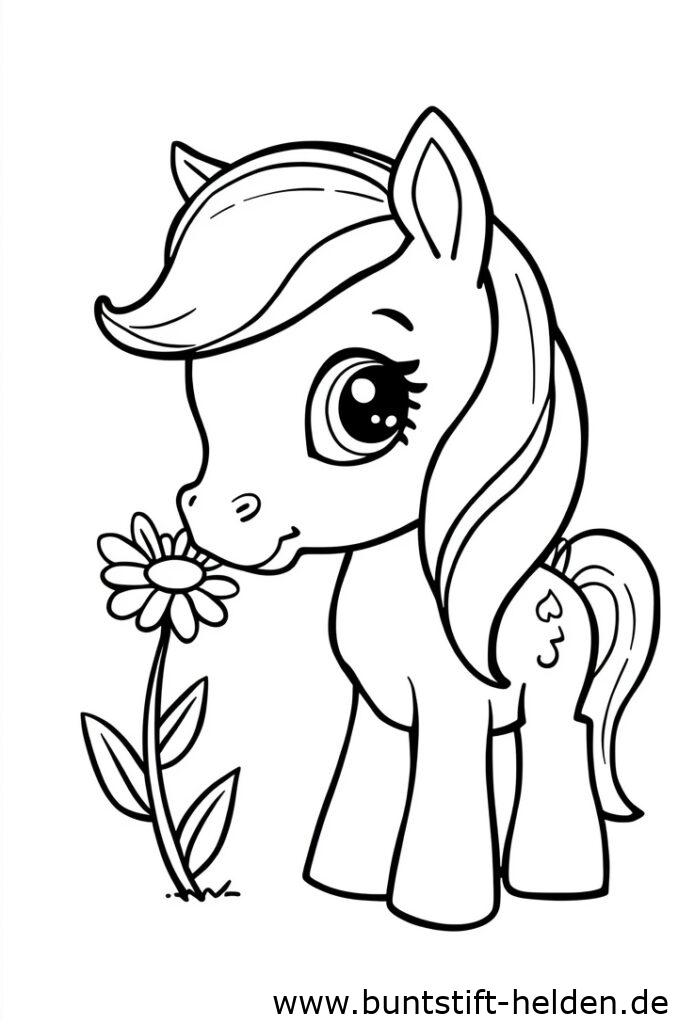pony mit blume 2