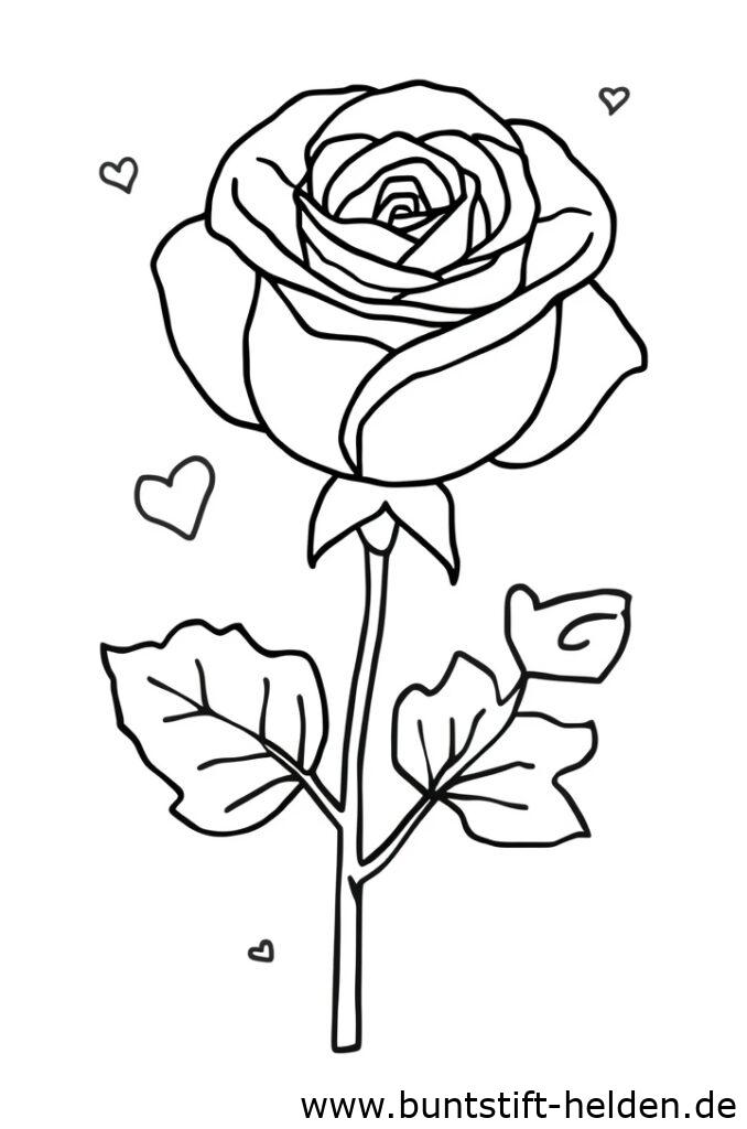 rose mit herz