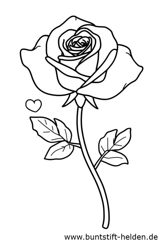 rose mit herz