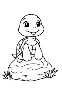 schildkroete auf stein 1