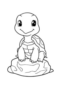 schildkroete auf stein 2