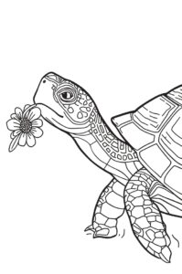 Schildkröte Mit Blume