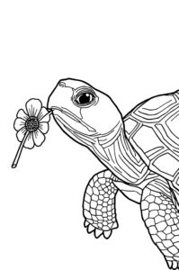 schildkroete mit blume 2