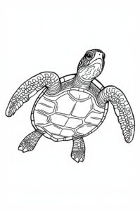 schildkroete schwimmt 1