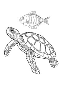 schildkroete und fisch 1