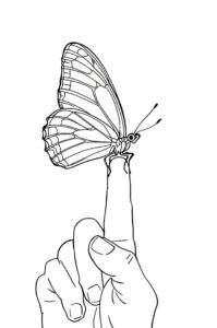schmetterling auf finger 1