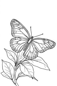 schmetterling und bltter 2