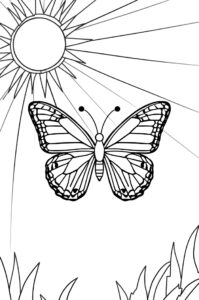 schmetterling und sonne 2