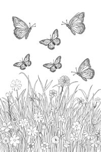 schmetterlinge fliegen da