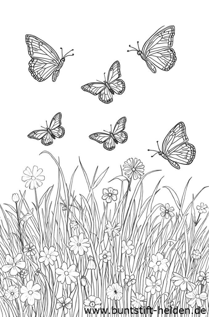 schmetterlinge fliegen da