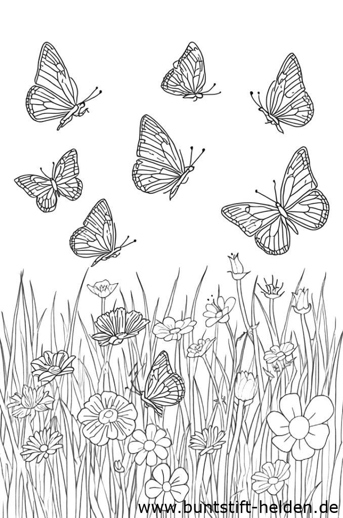 schmetterlinge fliegen da