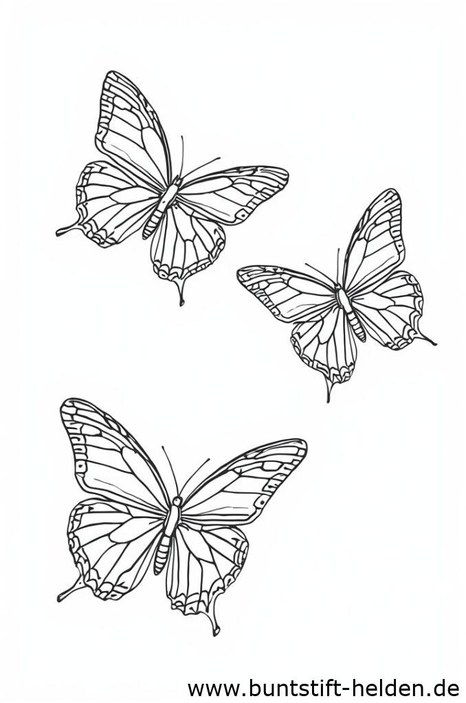 schmetterlingsfamilie 1