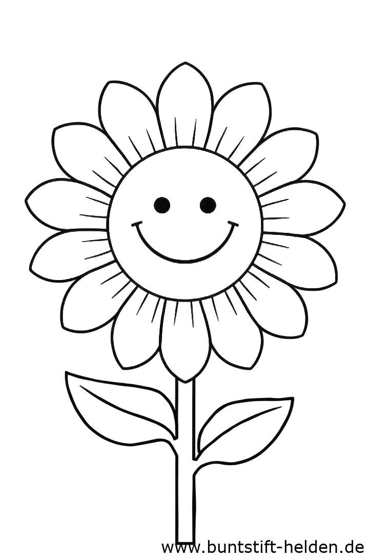 Vorschaubild für die Kategorie Blumen