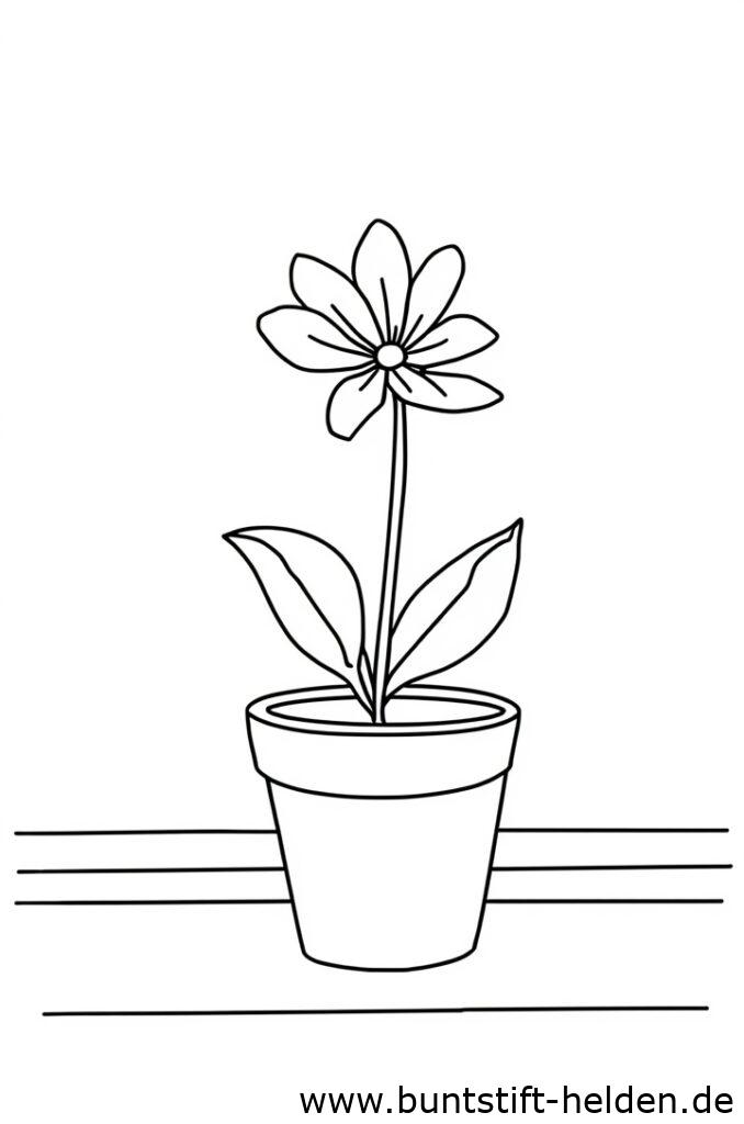 topfpflanze