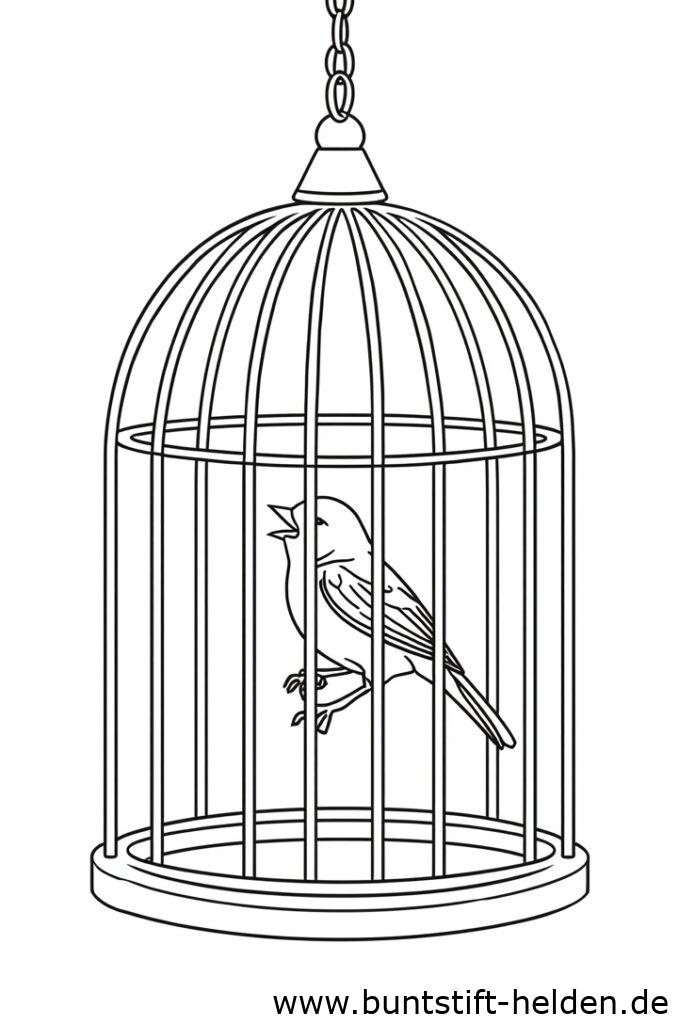 vogel im kfig 2