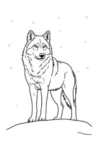 wolf im schnee 2