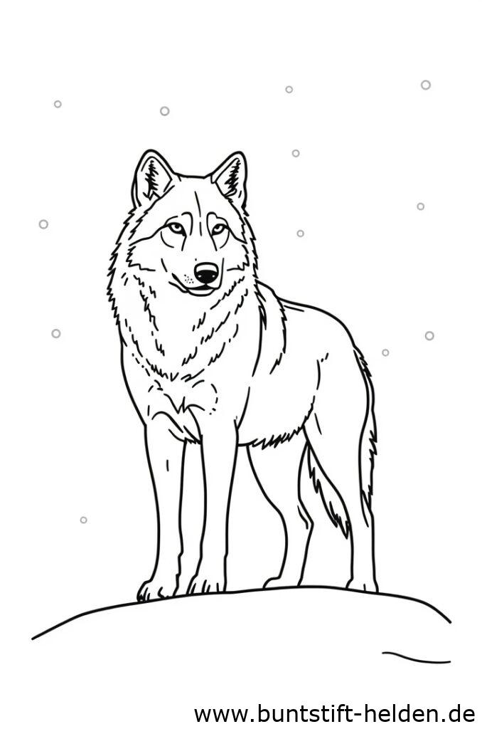 wolf im schnee 2