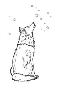 Wolf Mit Sternen