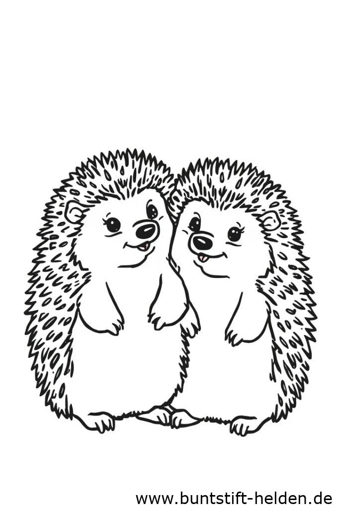 zwei igel 1